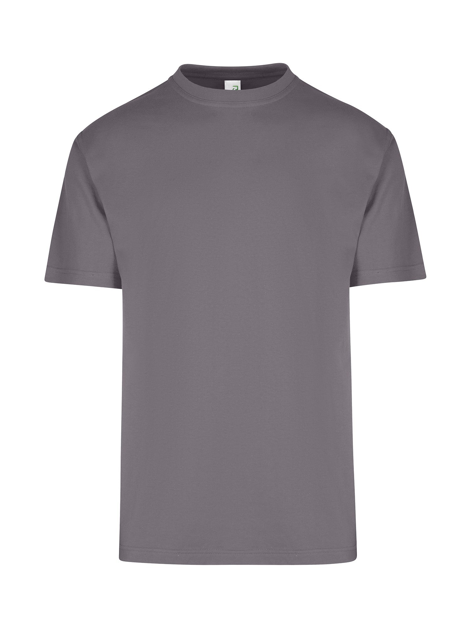 Ramo Regular Adults Tee(T202HT)
