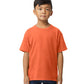 Gildan Soft Style Youth T-shirt (65000B)
