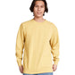 Comfort Colors Adult Crewneck Sweatshirt (1566)
