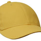 Headwear Brushed Heavy Cotton (4199)