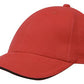 Headwear Brushed Heavy Cotton with Sandwich Trim (4210)