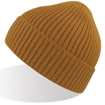 Atlantis Headwear Viral Beanie (A4250)