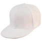 Winning Spirit Suburban Snapback (CH50)