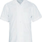 Bocini Boys S/S School  Shirts-(CS1307)