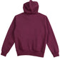Winning Spirit Ladies' Fleece Hoodie (FL08)