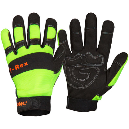 DNC T-REX (GM08)