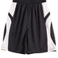 Winning Spirit Adults Slamdunk Shorts (SS23)