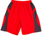 Winning Spirit Adults Slamdunk Shorts (SS23)