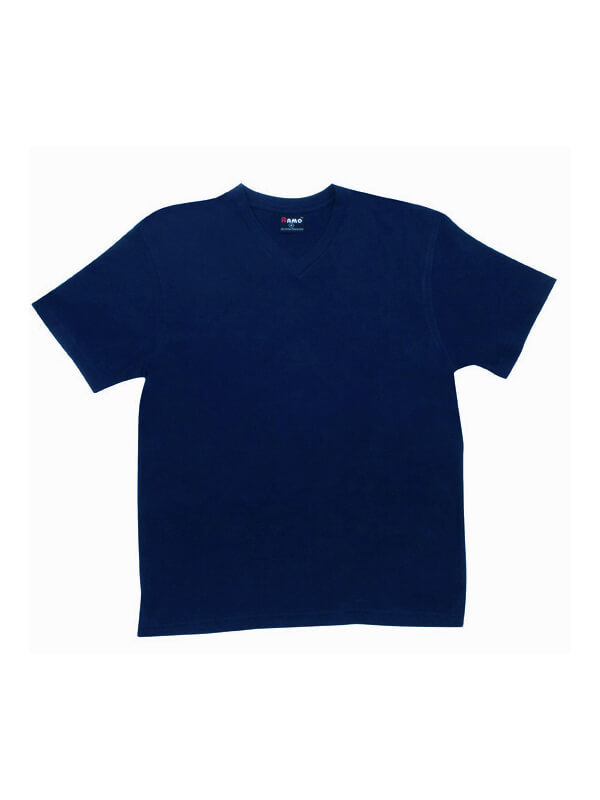 Ramo Mens V-Neck (T902TV)