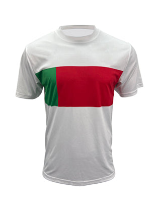 Bocini World Cup Jersey (FWC2221)