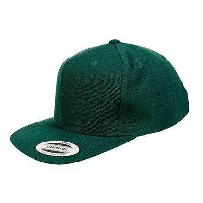 Yupoong Classic (6689F)