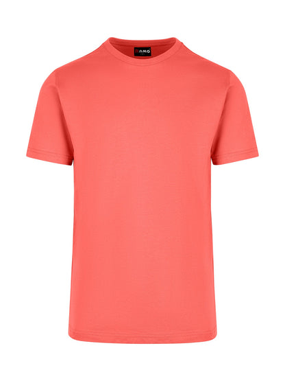 Ramo Mens American Style T-shirt  (T801HC)