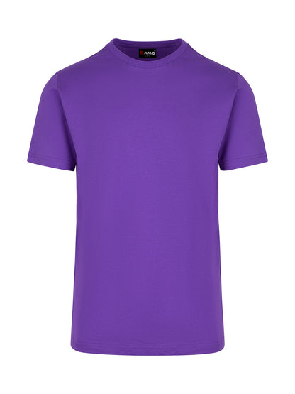 Ramo Mens American Style T-shirt  (T801HC)