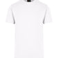 Ramo Mens American Style T-shirt  (T801HC)